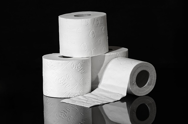 Toilet Paper