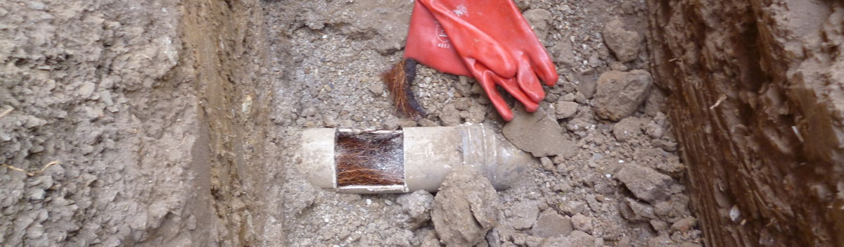 Septic System Damage